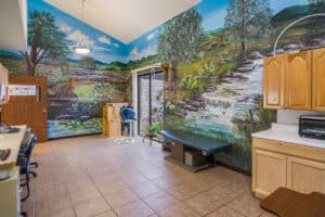 Occupational therapy kitchen at Deer Creek Nursing and Rehab